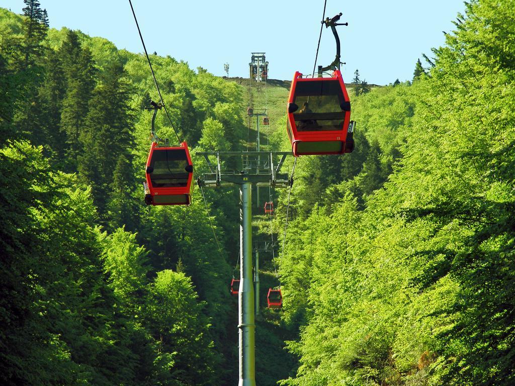 Azuga Ski & Bike Resort ภายนอก รูปภาพ